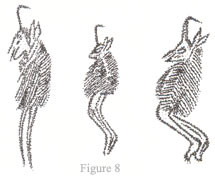 Theosophical Society - the horned and hoofed Animal Master is a visionary picture or primalimagination of an earlier stage of human development (fig. 8). He also connects this figure with the Greek god Pan. Gimbutas too sees a connection and says of Pan: "Greek Pan was a mortal god of the forest. He was a shepherd and believed to be the protector of wild animals, beekeepers, and hunters. . . . There are more than 100 recorded cult places associated with Pan's name in ancient Greece. This seems to indicate that he was popular and widely worshipped, although he was outside the pantheon of great gods and goddesses" (p. 177). Pan is also linked to the Indian god Shiva, and the Indus deity Pashupati. Unfortunately, Pan later serves as the imagination behind the medieval Christian devil with its horns and supernatural power prodding humanity on toward the assertion of independent egohood with all its (in this case) negative attributes.